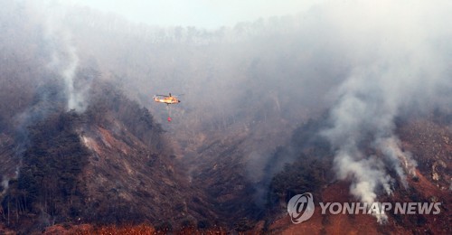 건조한 날씨 산불비상…지자체 산불예방 활동 앞당겨