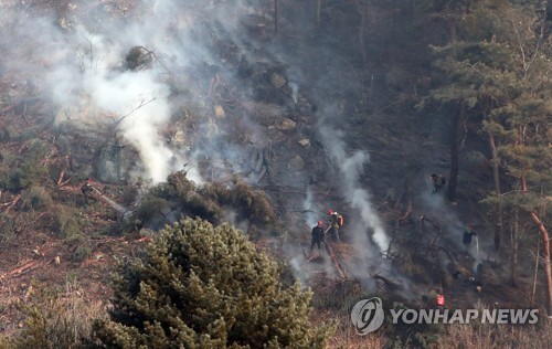 눈 없는 겨울 '산불 위험 고조'…벌써 축구장 14개 '활활'