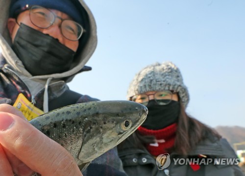 화천산천어축제 외국인 전용 얼음낚시터 재개장