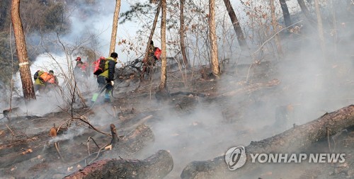 재발화 춘천 신북읍 야산 산불 진화(종합)
