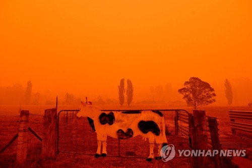 포스코, 호주 산불 재해 지역 구호금 4억원 출연