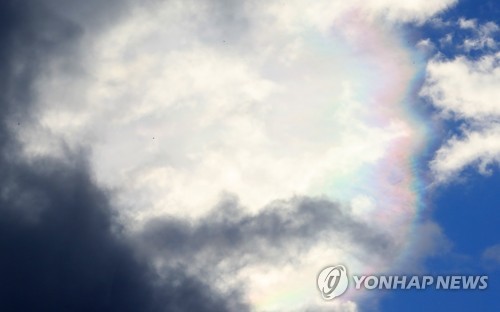 제주 낮 최고 23.6도 '완연한 봄'…1월 기록 역대 1위(종합)