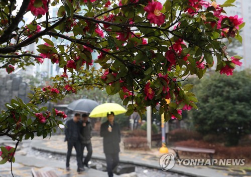 시베리아 대기 온도 6도 오르자 한국 남부지방 봄 날씨