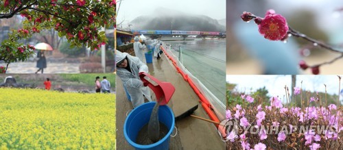 제주 이상 고온은 일시적…'따뜻한 겨울' 속단은 금물