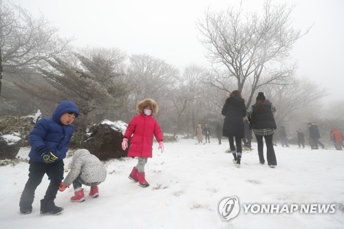 [#꿀잼여행] 제주권: 하얀 세상 한라산…마방목지·1100고지 눈썰매 야호∼