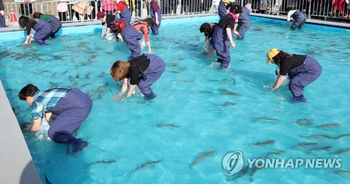 '실내에서 겨울을 즐긴다' 홍천강 꽁꽁축제 개막