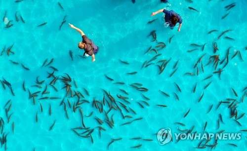 "얼음판 없어도 즐긴다" 홍천강꽁꽁축제 '부교·루어낚시터'개장