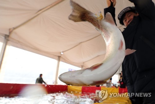 "이상기후도 못 막았다"…실내 위주 개막 홍천강 꽁꽁축제 인기