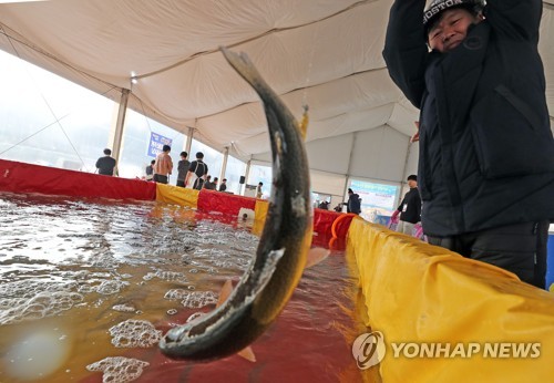 "얼음판 없어도 즐긴다" 홍천강꽁꽁축제 '부교·루어낚시터'개장