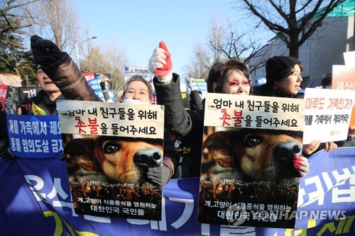 '개도 가축' 축산법 시행령에 청와대 앞 개고기 찬반집회