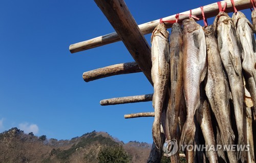 강원 밤부터 기온 뚝…당분간 '겨울다운 한파' 지속