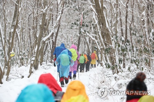 한라산 관음사 코스서 가슴 통증 호소하던 50대 숨져(종합)