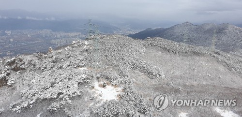 부산 금정산 첫눈 '발목 잠길 정도 쌓여'…도심은 겨울비(종합)