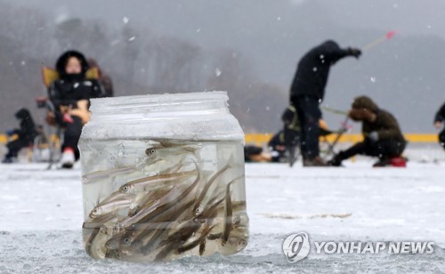 "겨울왕국이 따로 없네" 인제빙어축제 개막 첫주말 10만 인파(종합2보)