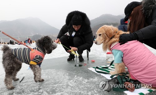 "겨울왕국이 따로 없네" 인제빙어축제 개막 첫주말 10만 인파(종합2보)