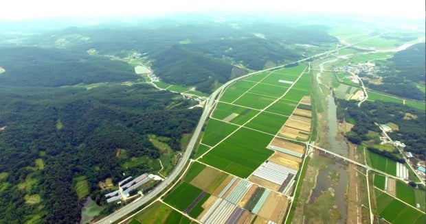 대구경북 통합신공항 의성 비안·군위 소보 공동후보지 모습/사진=연합뉴스