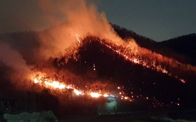 공주 계룡산 자락에 산불, 6시간여 만에 진화