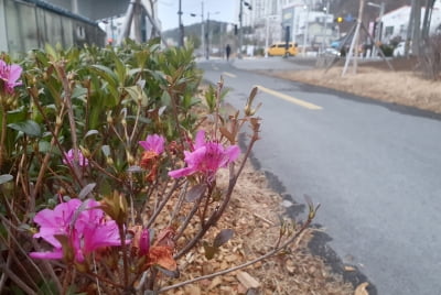 오늘의 날씨, 낮 최고기온 5∼11도 '포근'…남부 일부 비