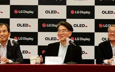 LG디스플레이 정호영 "올해 OLED 패널 판매 작년의 2배 목표"