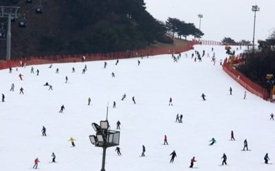 '눈 없는 겨울'에 스키장 울상…테마파크로 활로 찾기 안간힘