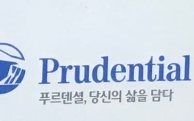 푸르덴셜생명 매각 개시…KB금융과 사모펀드 등 경쟁