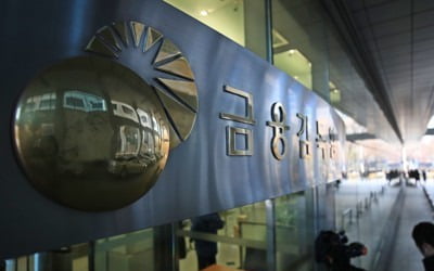 DLF 사태 첫 제재심…CEO 징계 근거 공방 속 결론 못내