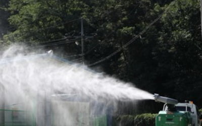 '가축 전염병' 비상 걸린 정부 당국…설 앞두고 대대적 소독