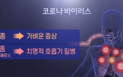 중국 보건당국 전문가 "우한폐렴 사람간 전염 확증적"