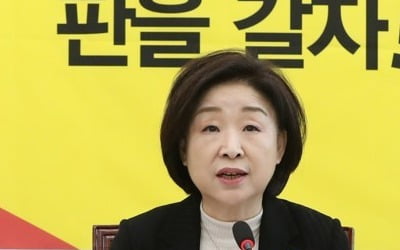 심상정, 오늘 신년 기자회견…'정치교체' 총선포부 밝힐 듯