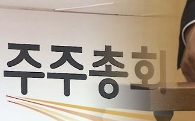 주주·기관투자자 권리 강화…상장사 주총·이사회 내실 다진다