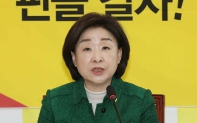 심상정 "21대 총선서 20% 이상 득표…원내교섭단체 구성 목표"