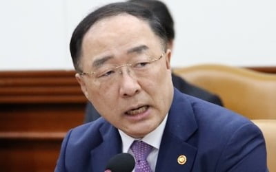 홍남기 "GDP·고용·수출·투자 성과, 경기반등 모멘텀으로"