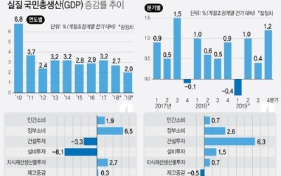 "작년 성장률, 정부 부양책으로 '선방'…경기 완만 회복 기대"