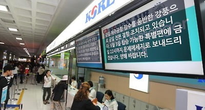 제주에 시간당 20㎜ 비 전망…강풍 예보돼 귀경길 차질 우려