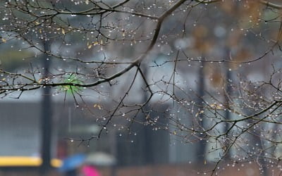 전국 흐리고 오전까지 곳곳서 비…동해안 강한 바람 '주의'