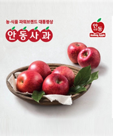 [2020 한국소비자만족지수 1위] 농특산물 사과 전문 브랜드, 안동사과