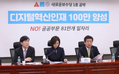 새보수당 "10조여원만 투자하면 디지털혁신인재 100만명 양성"