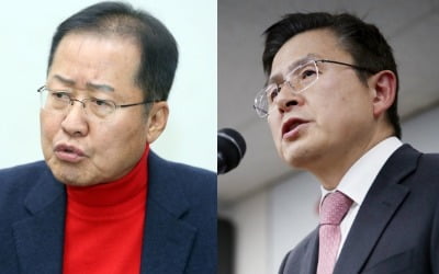 "현직은 꽃신 전직은 짚신"…황교안 종로 출마에 홍준표 '머쓱'