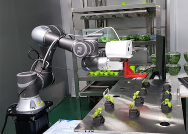 AI 농업 솔루션 전문기업 쎄슬프라이머스, 수직형 딸기 컨테이너팜 및 정식자동화 로봇 시연회 개최