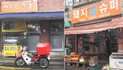 [현장+] 기생충 관광지?…피자집 "찬성" vs 돼지슈퍼 "반대"