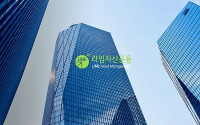 [여기는 논설실] 라임 사태로 또 입증된 '쏠림=必敗' 공식