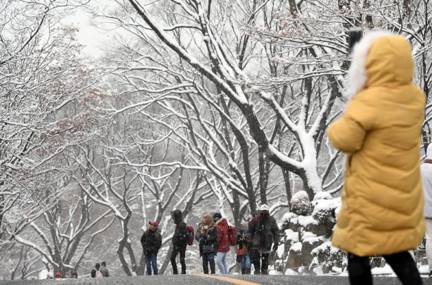 올겨울 최고 적설량 기록 