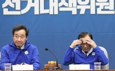 선거 앞두고 '대한민국' 차지한 민주당 [조미현의 국회 삐뚤게 보기]