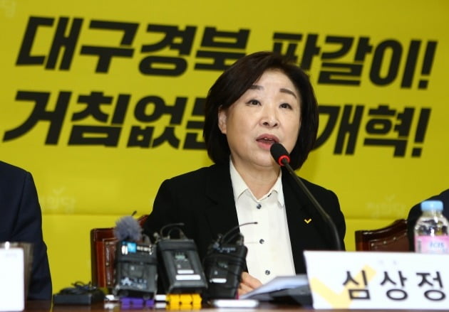 정의당 심상정 대표. 사진=연합뉴스