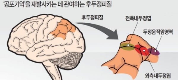 '기억법' 비밀 푸는 뇌과학…안 좋은 기억 지우고 행복한 기억은 살린다