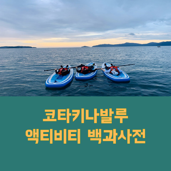 코타키나발루의 놀거리 모두 다 담았다 &#39;코타키나발루 액티비티 백과사전&#39;