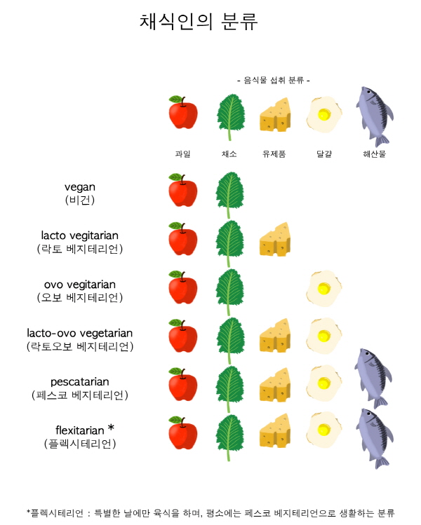 &#34;고기 안 먹으면 쓰러지지 않을까요?&#34; &#39;비건&#39;에 관한 오해와 진실