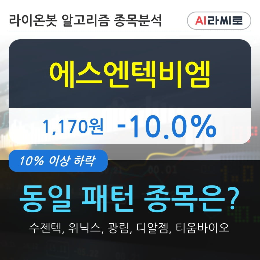 에스엔텍비엠