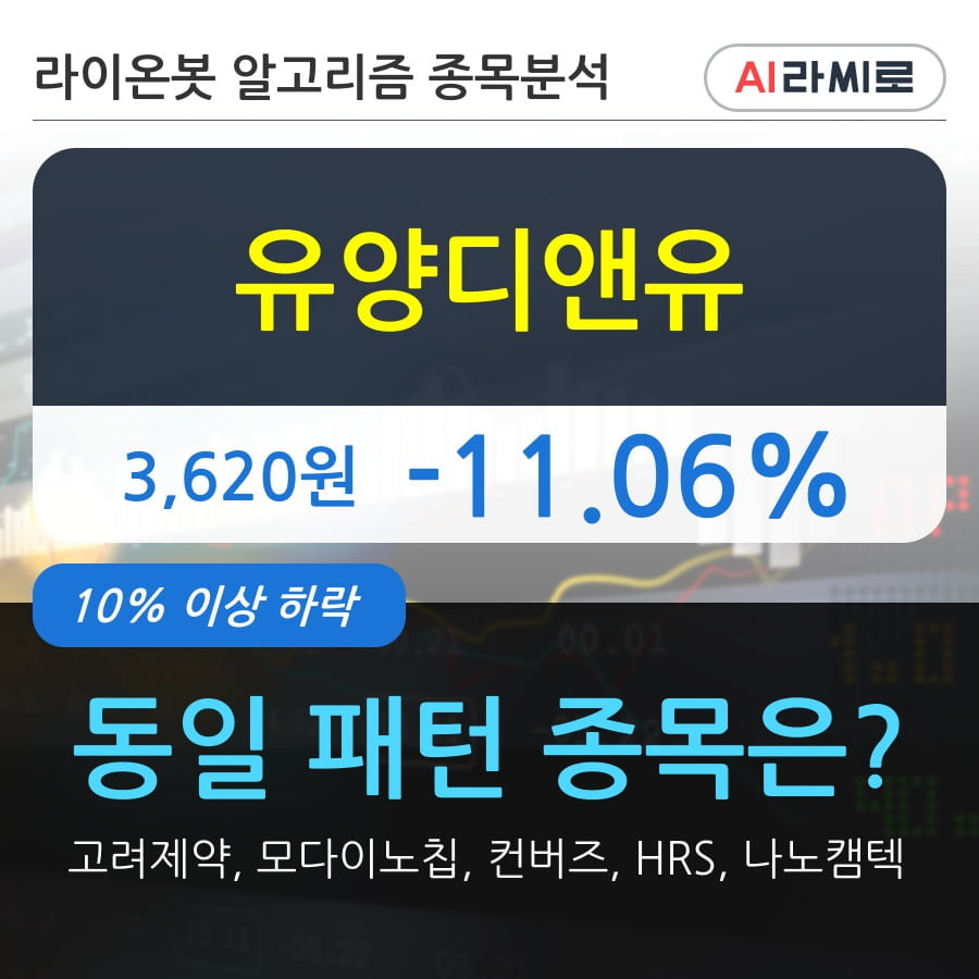 유양디앤유