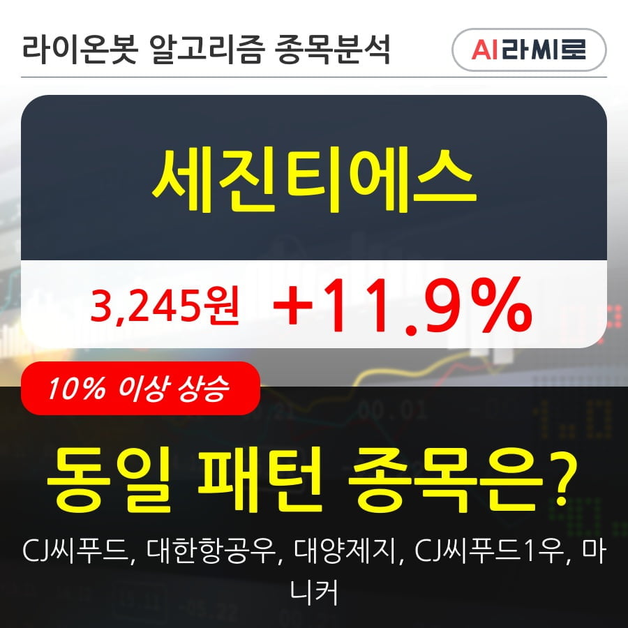 세진티에스